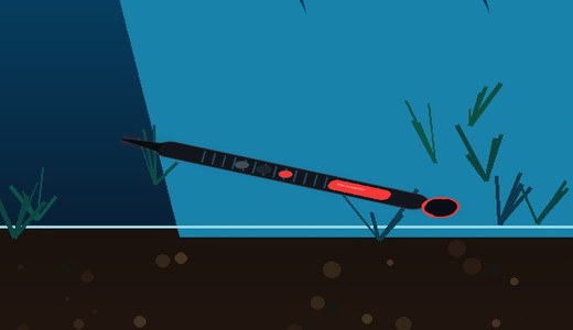 Pointer dedektör video alanı